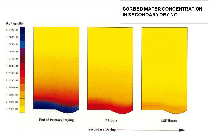 Lyophilization Process Freeze Drying Simulation of Pharmaceutical